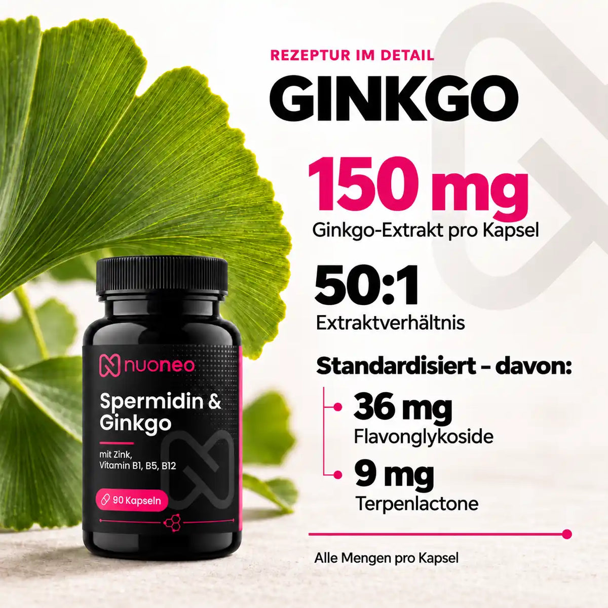 150 mg Ginkgo-Extrakt 50 zu 1 mit Flavonglykosiden und Terpenlactonen