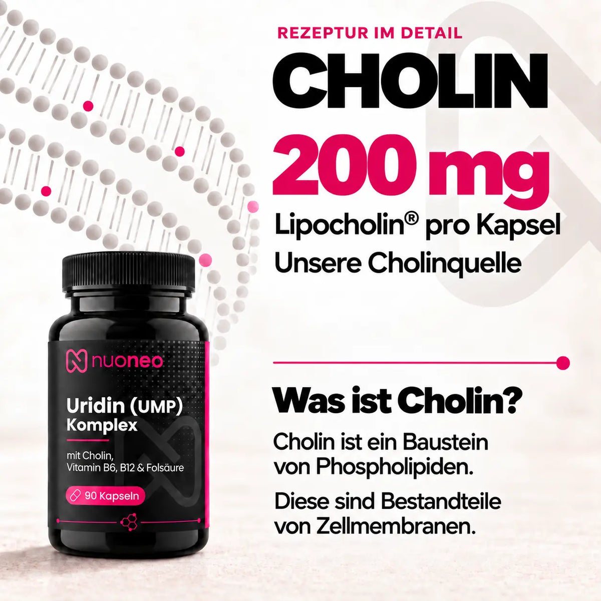 nuoneo Uridin Cholin Komplex mit 200 mg Lipocholin als Cholinquelle und 300 mg UMP pro Kapsel