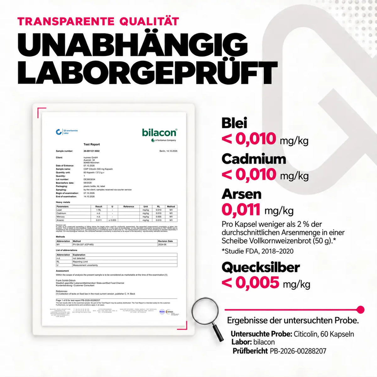 Screenshot vom PDF Prüfbericht zu Citicolin Kapseln