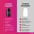 Beta_Glucan_Produktvergleich