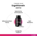 L_Ergothionein_Steht_fuer