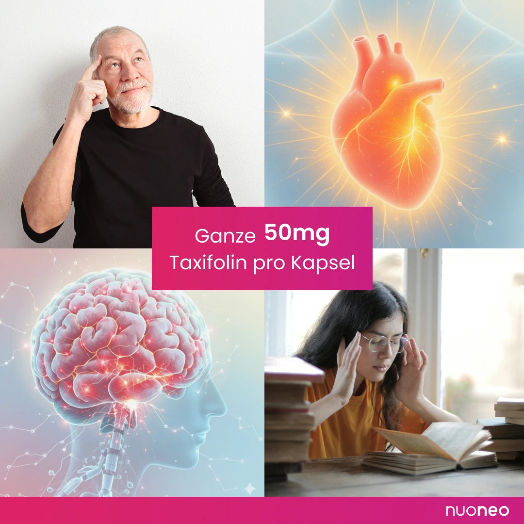 Taxifolin (Dihydroquercetin) Kapseln 50 mg