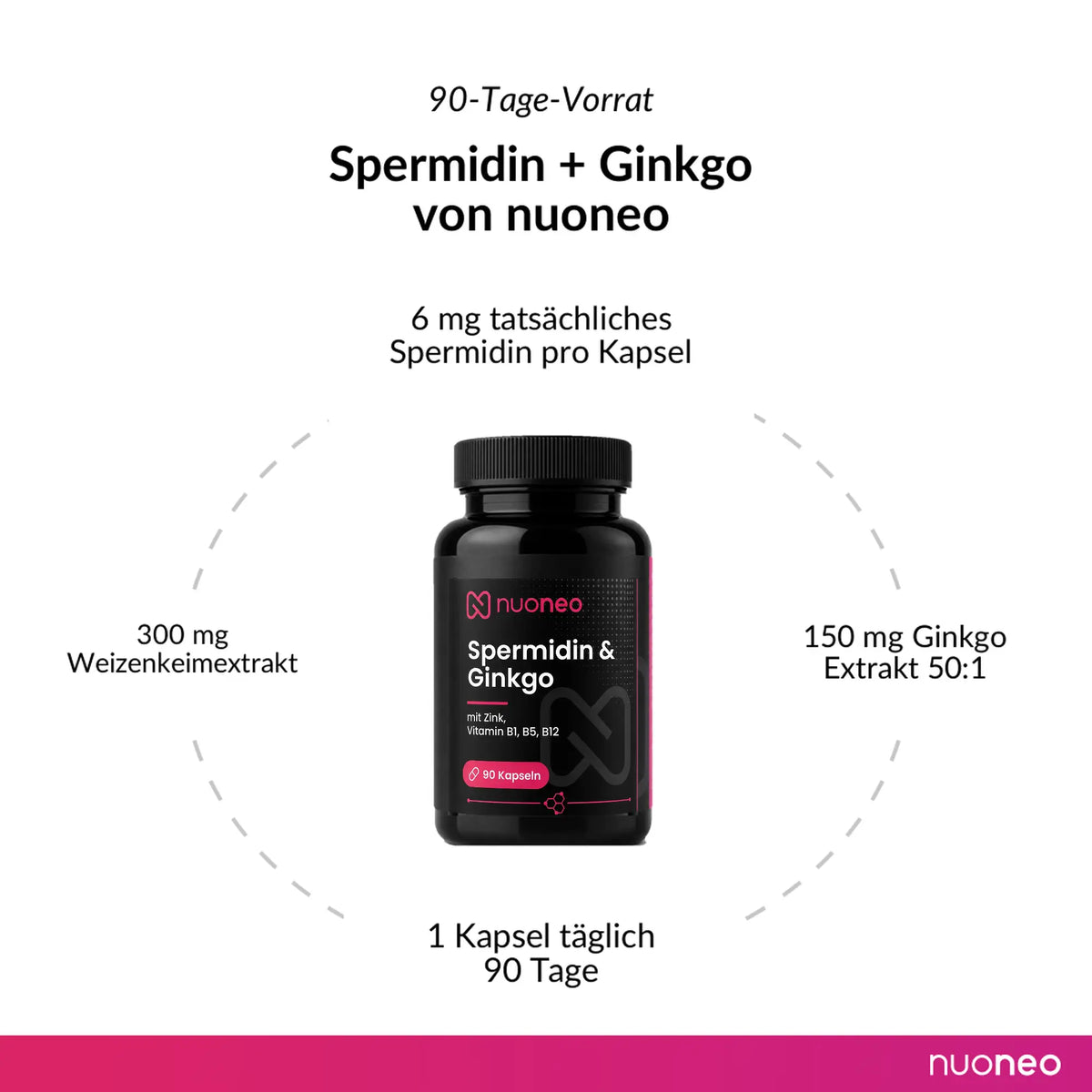 6 mg tatsächliches Spermidin und Ginkgo 50 zu 1